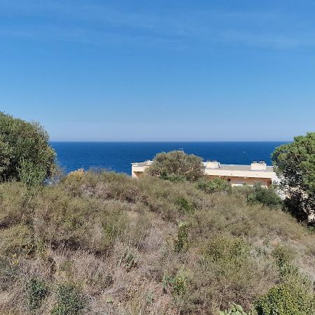 Appartement Avec Terrasse, Wifi, Parking Prive, A 2Min De La Plage Des Elmes - Banyuls-Sur-Mer - Fr-1-309-130 외부 사진